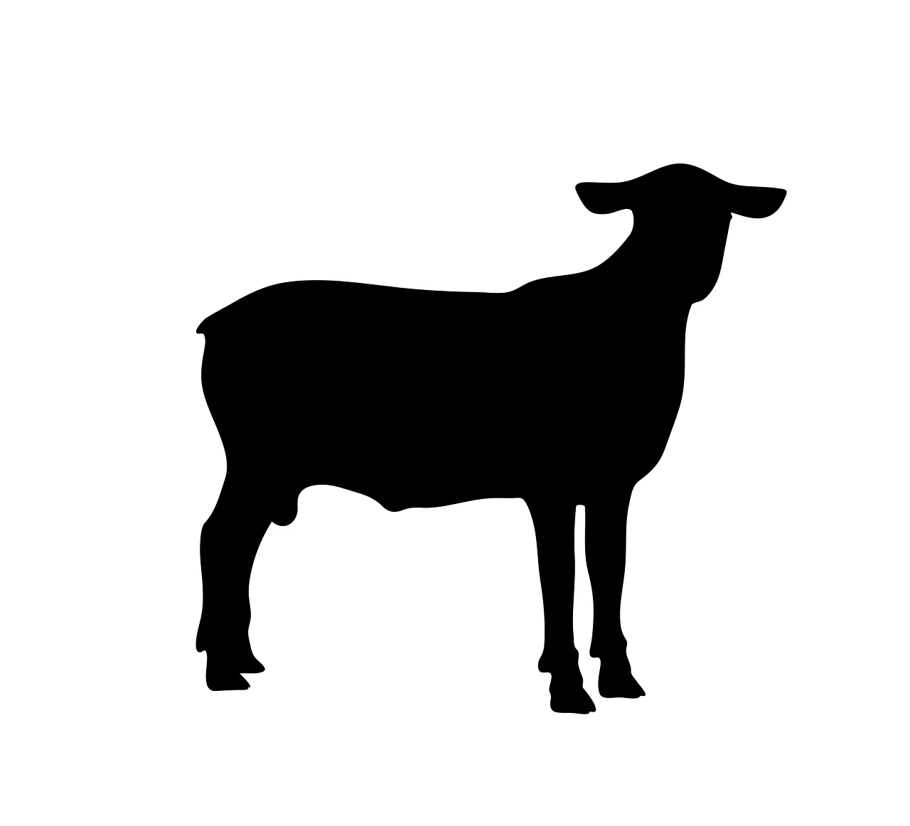 sheep-ge4c23ff27_1280.png