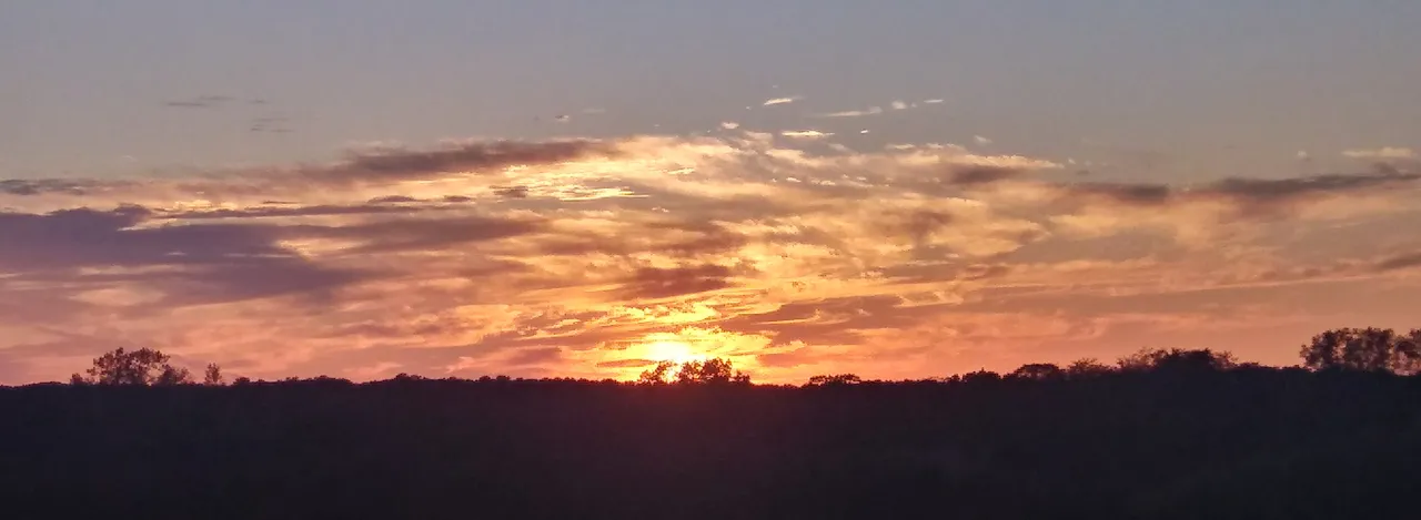 20191003_185335_HDR-1.jpg