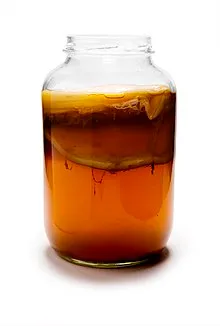 220px-Kombucha_Mature.jpg