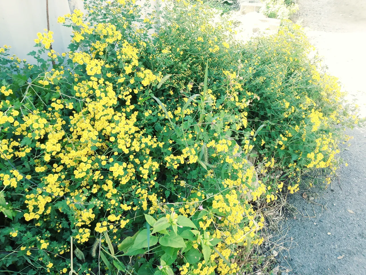 20181020_140521_Film3.jpg