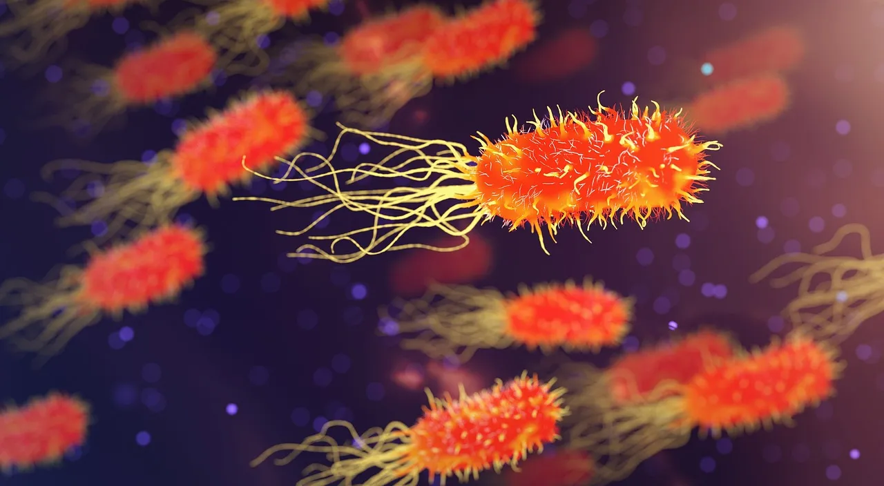 bacteria-3658992_1280.jpg
