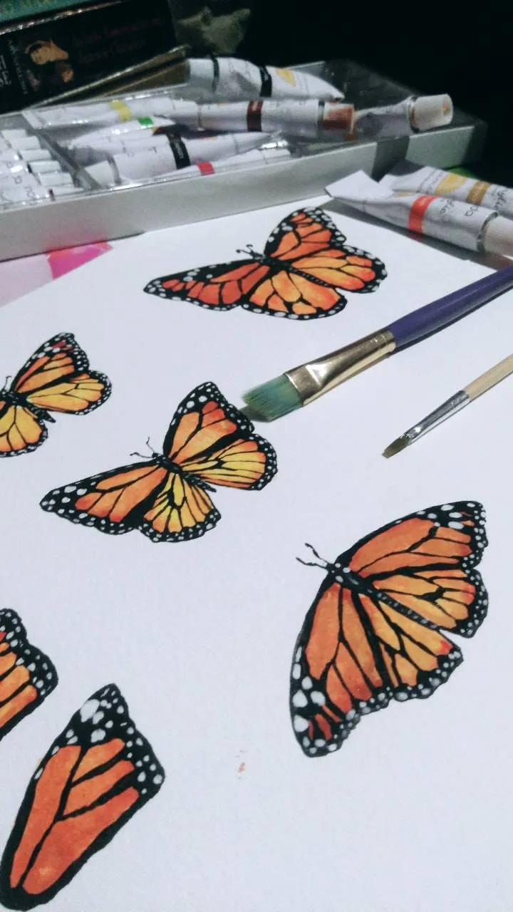 monarch butterflies.jpg