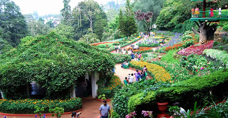 ooty-flower-show-2018.jpg