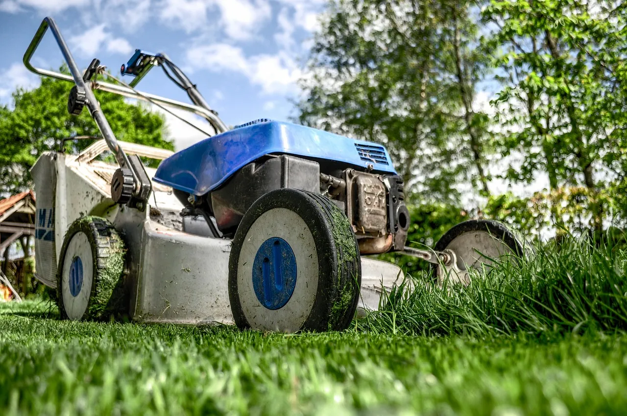 lawnmower-384589_1280.jpg
