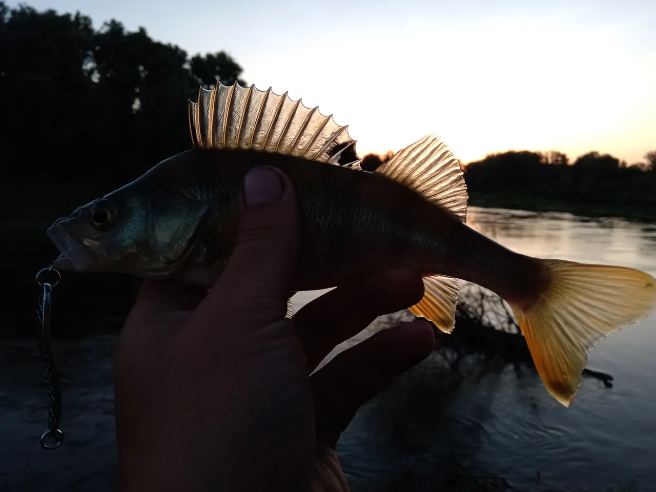 MVIMG_20190701_051506.jpg