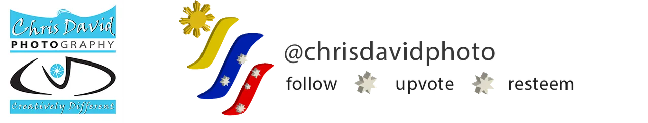 chrisdavidphotobanner.png