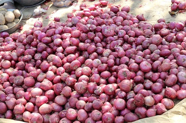Budidaya-Bawang-Merah.jpg