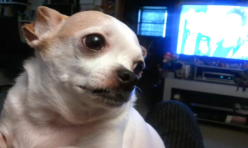 2013-04-07 13.36.47.jpg