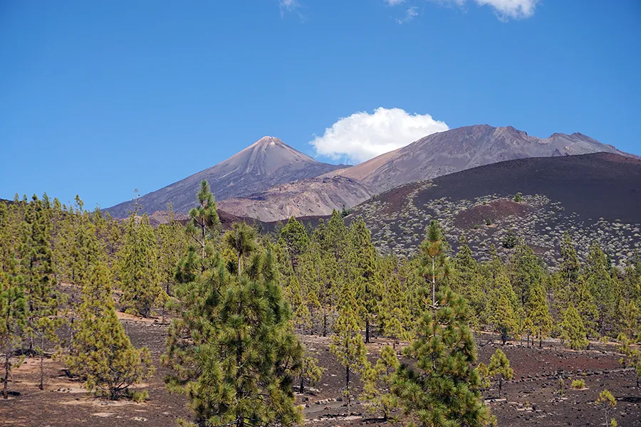 Mount_Teide_pre_005_s.jpg