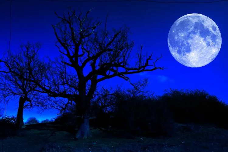 Moon in the Sky.jpg