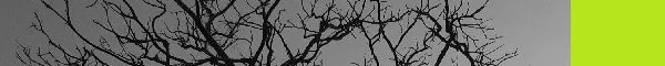Arbol serpiente 1.jpg