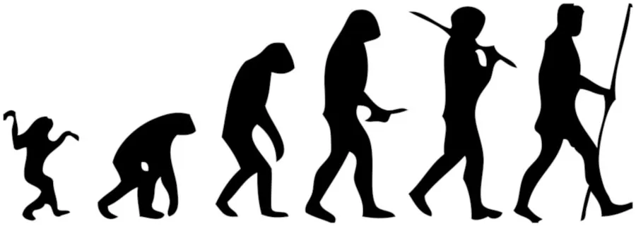 Human_evolution_small.jpg