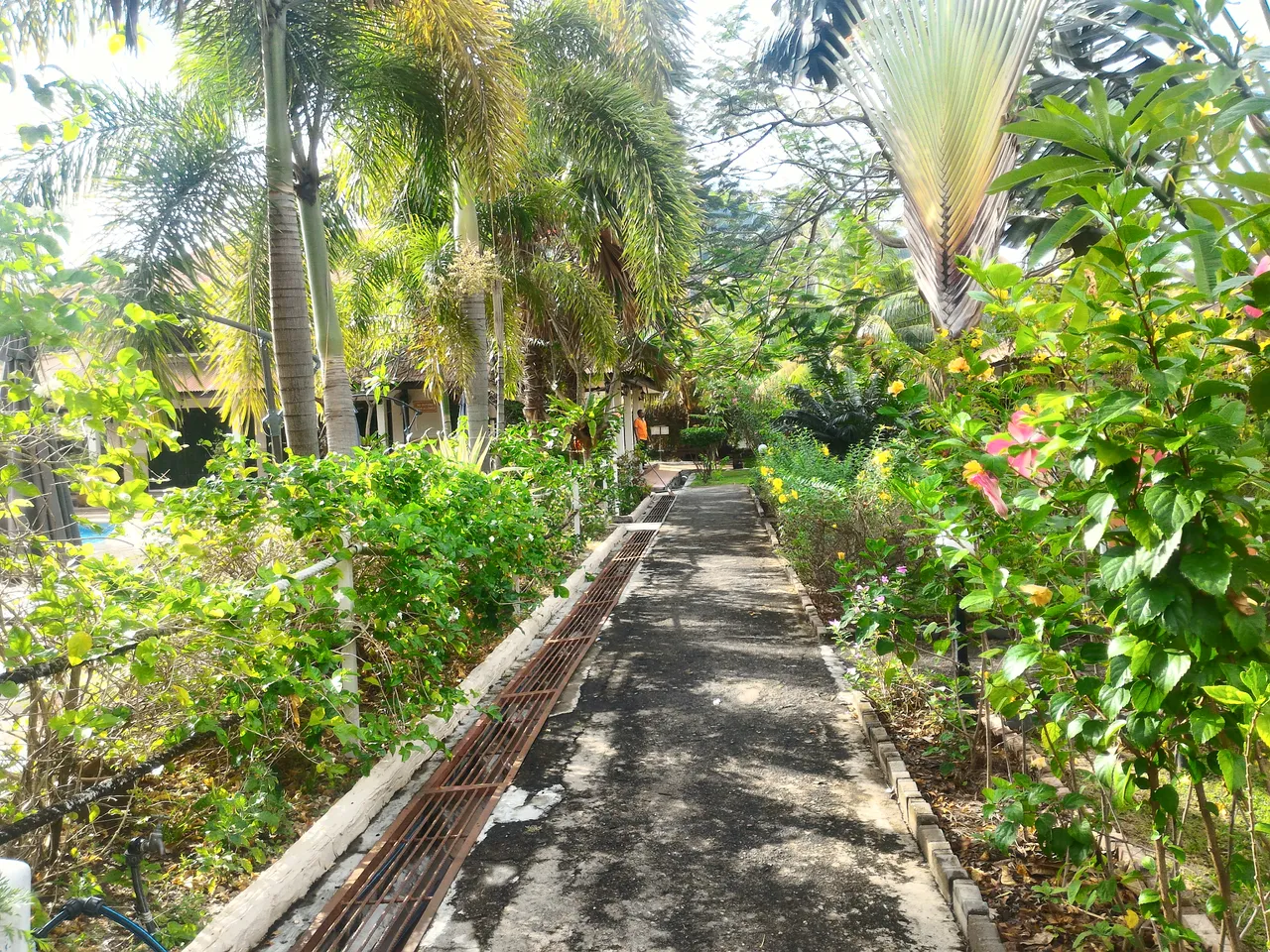 P_20170401_092326_HDR.jpg