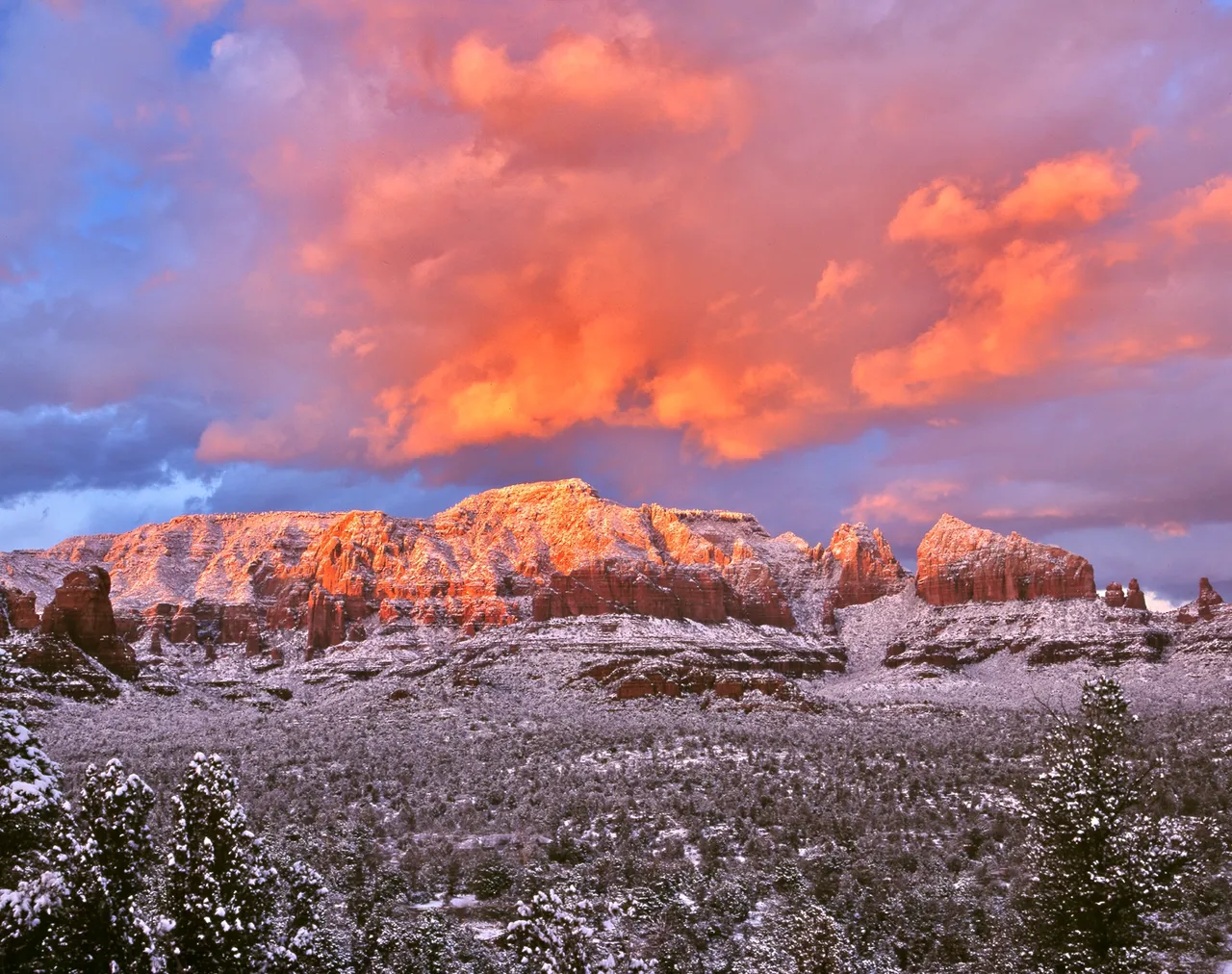 winter magic 8x10.jpg