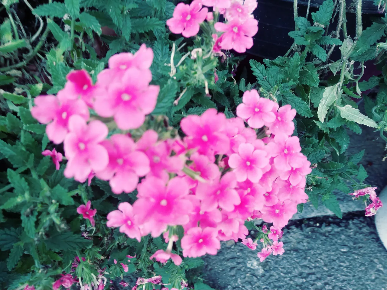 20180922_173420_Film3.jpg