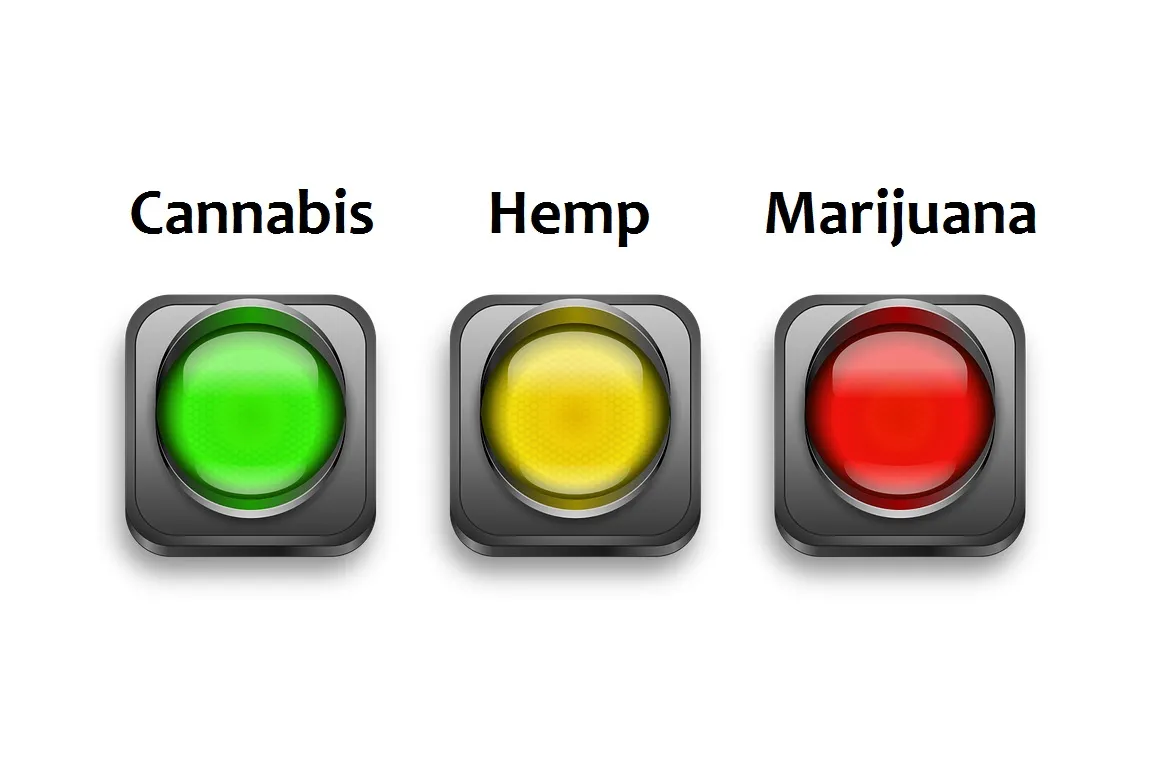 cannabishempmarijuana.jpg
