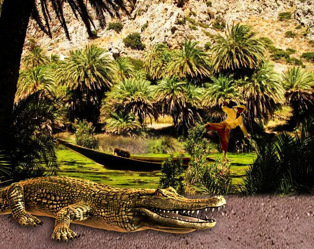 Fisherman crocodile.jpg