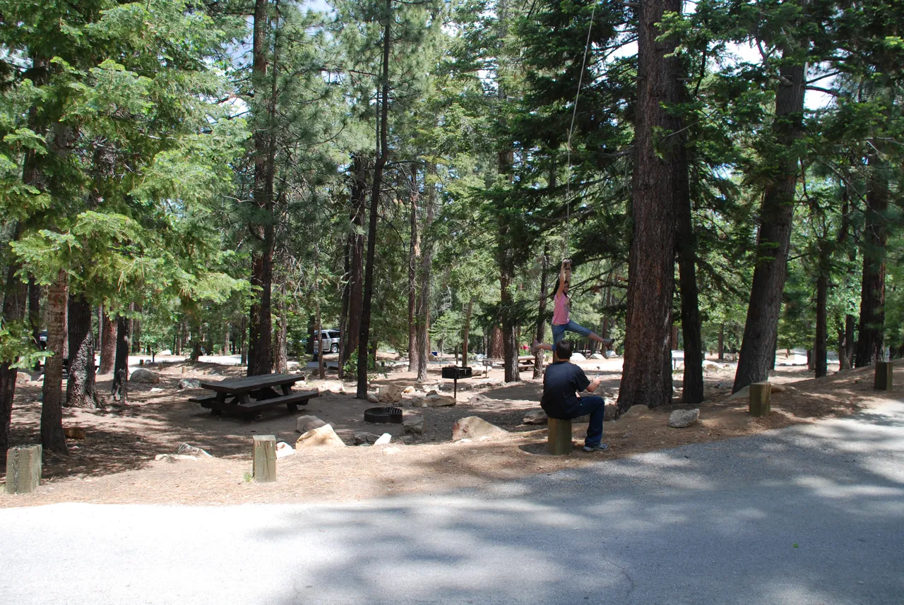 Pineknot Campground.jpg