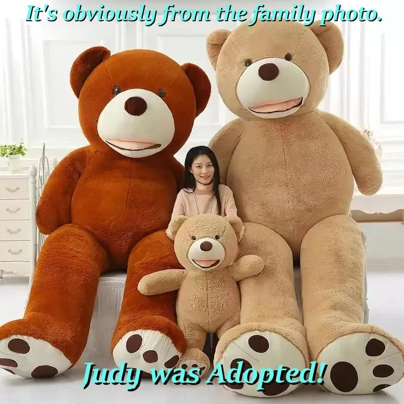 teddy_visual_evidence.jpg