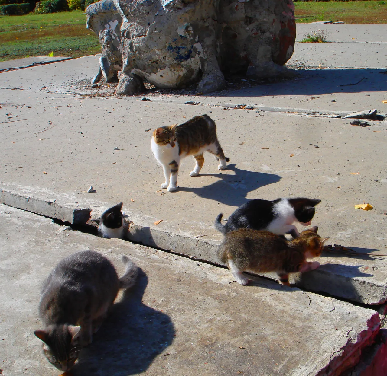 DSC01760-555555555555.jpg