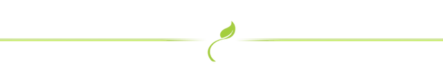 barra separadora hoja.png