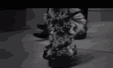 mmexport1542180242006.gif