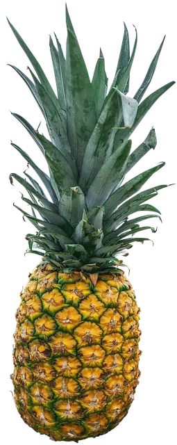 pineapple-1916996_640.png