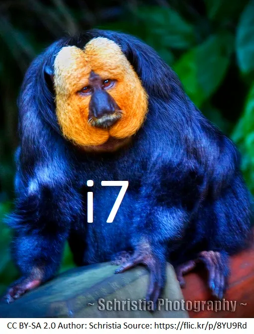 blue Intel Monkey.jpg