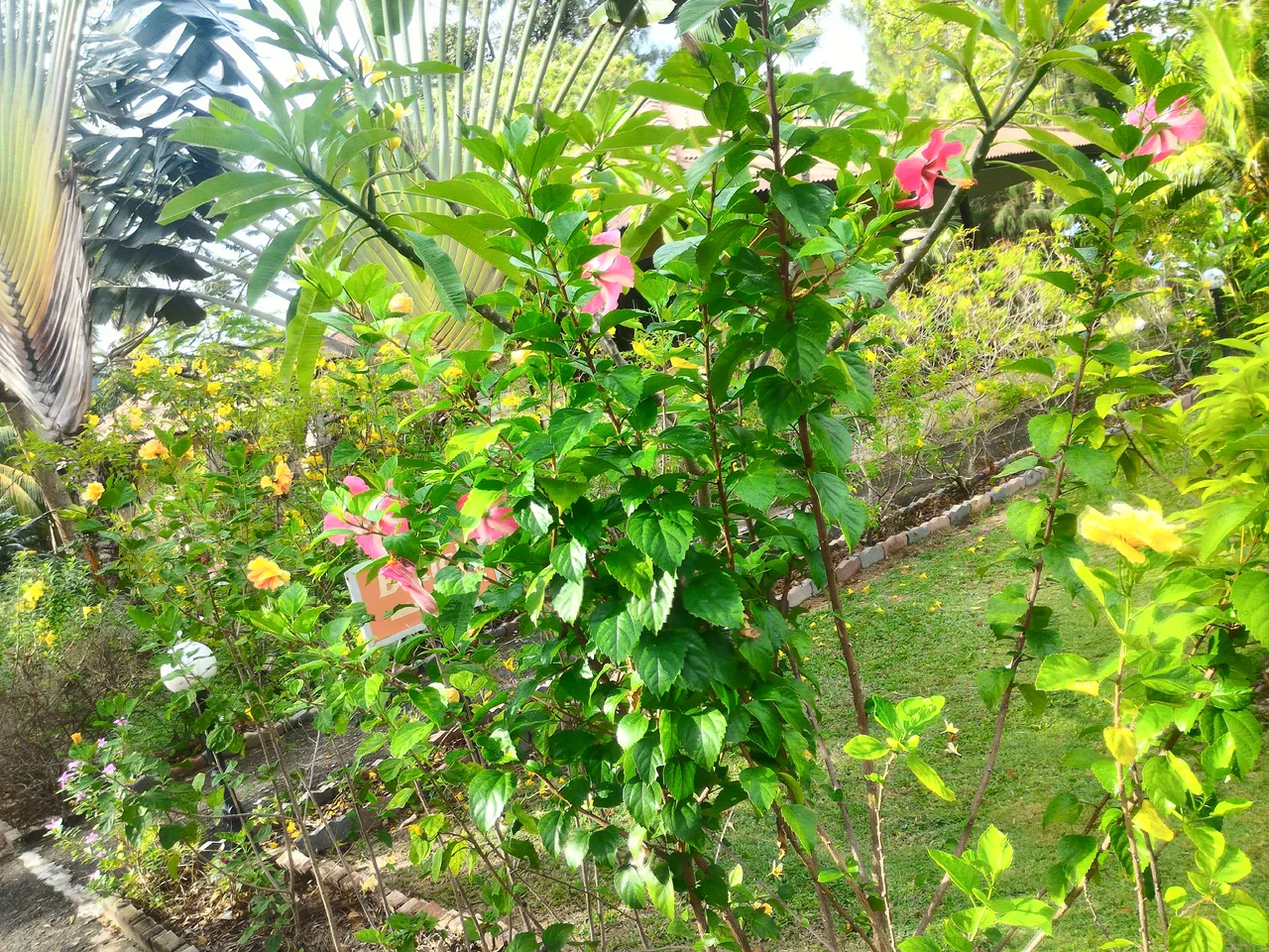 P_20170401_092339_HDR.jpg