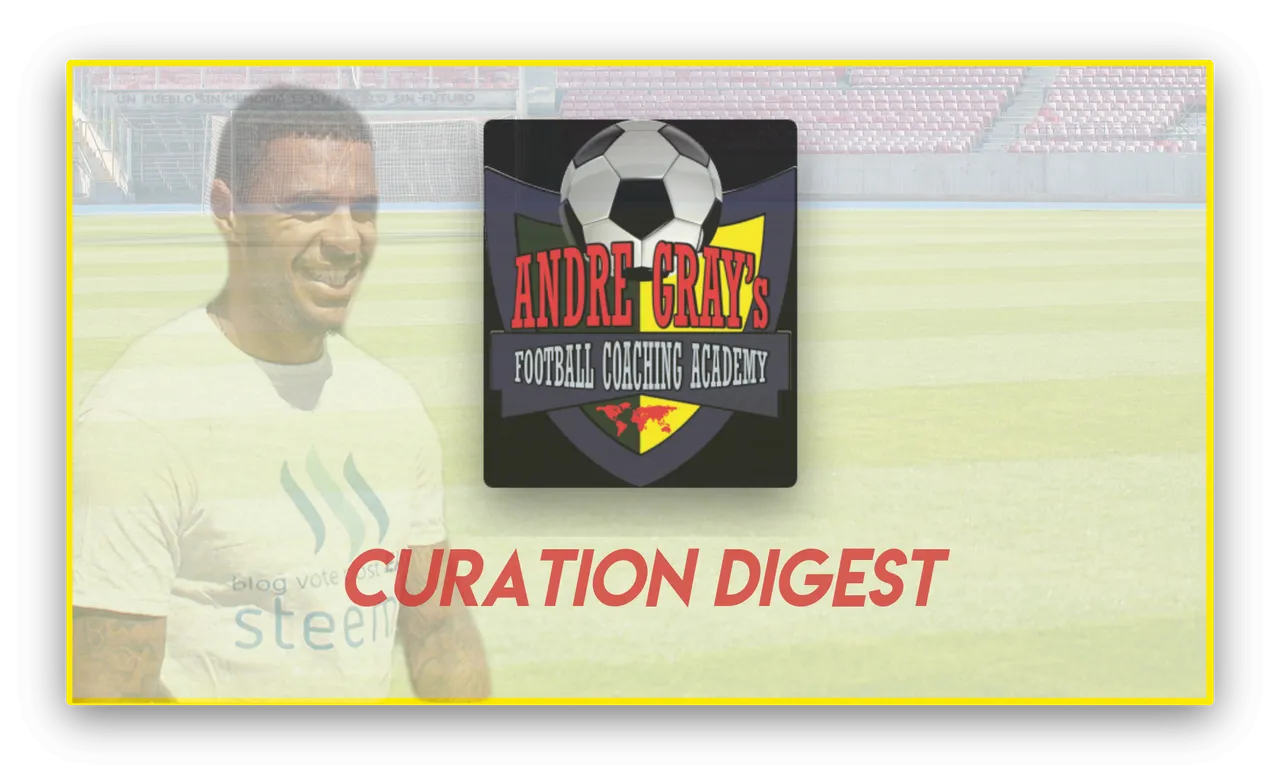 agfacademy curation.png