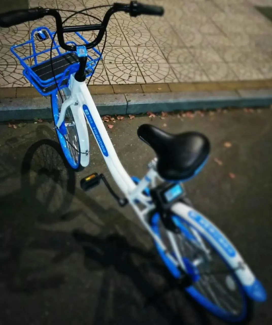 mmexport1534767651304.jpg