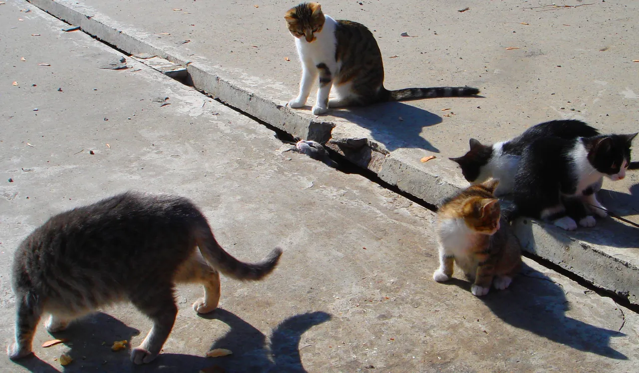 DSC01762-555555555555.jpg