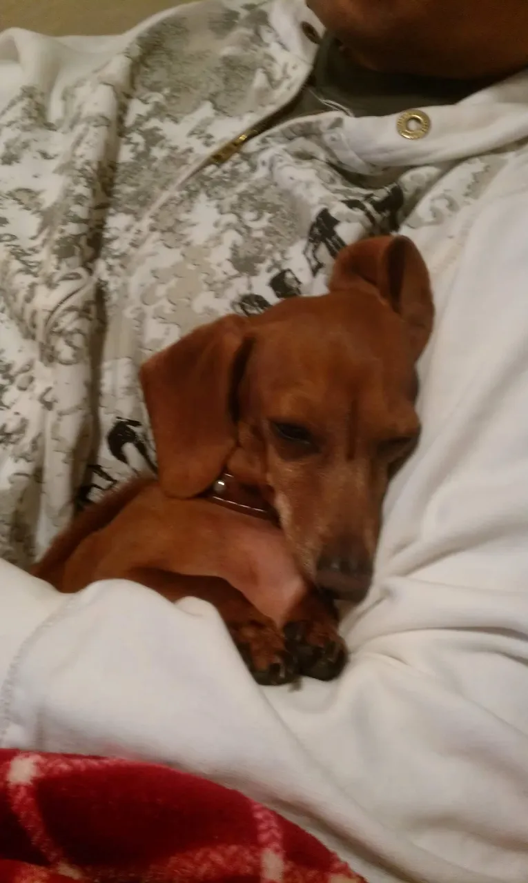 2011-03-17 22.36.14.jpg