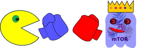 Packman vs. Ghost.png