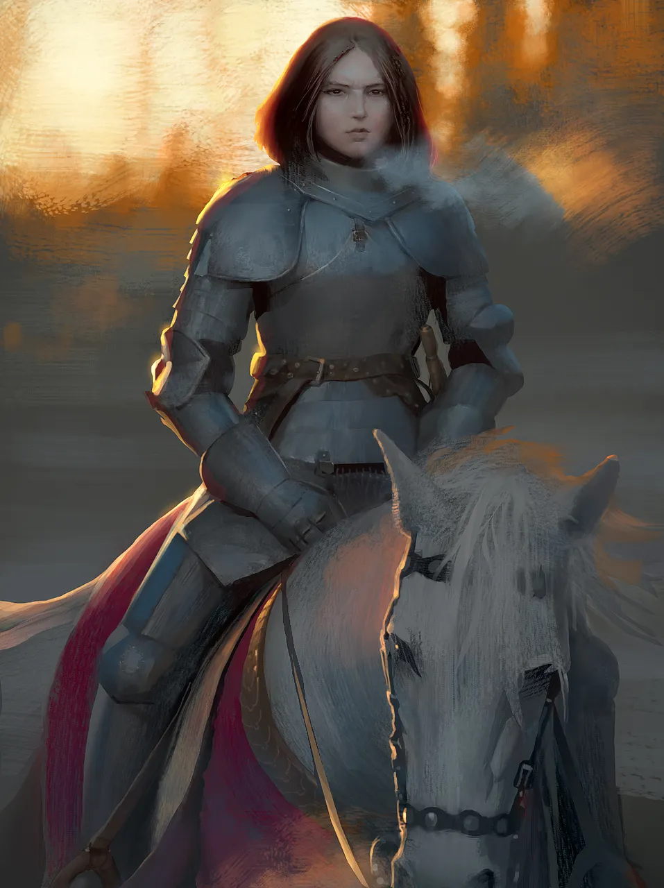 MountedKnightLadyDark.jpg
