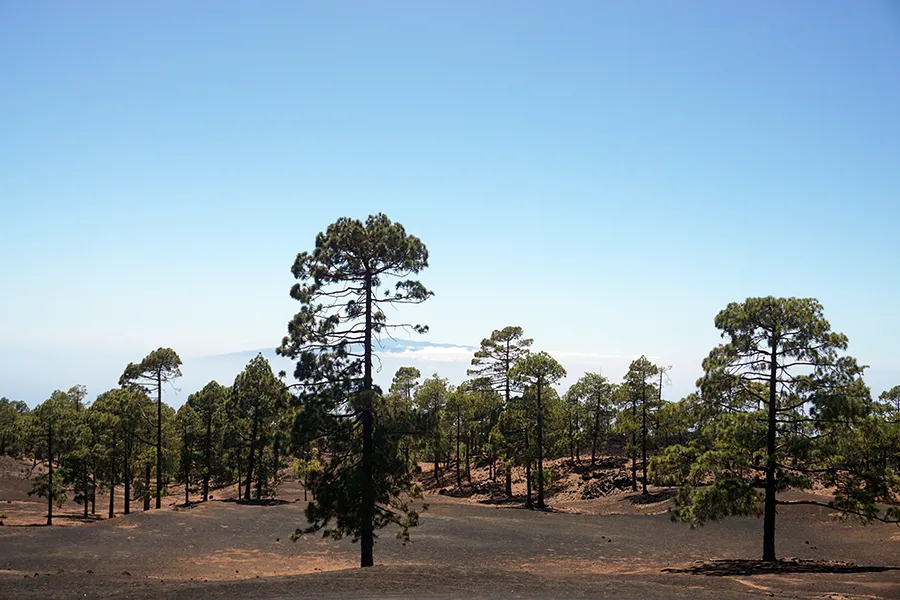 Mount_Teide_pre_001_s.jpg