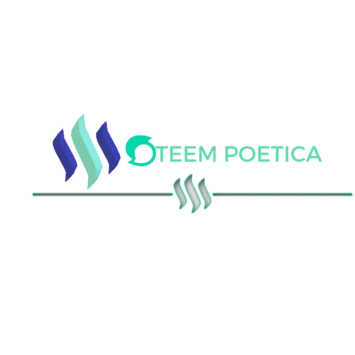 Logopit_1524558686943.png