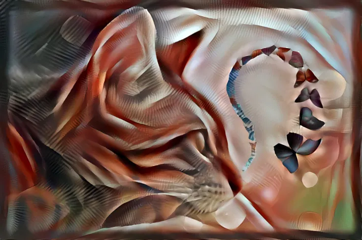 f2b09d7d754a0022e48e7dec0262f855fa938bbe.jpg