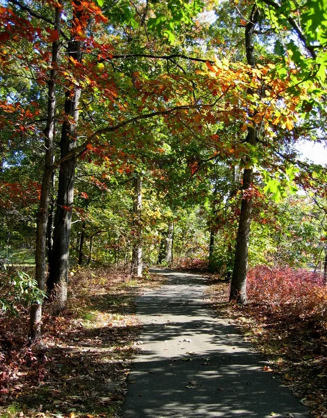 80_acres_park_Eatontown,_NJ__panoramio.jpg