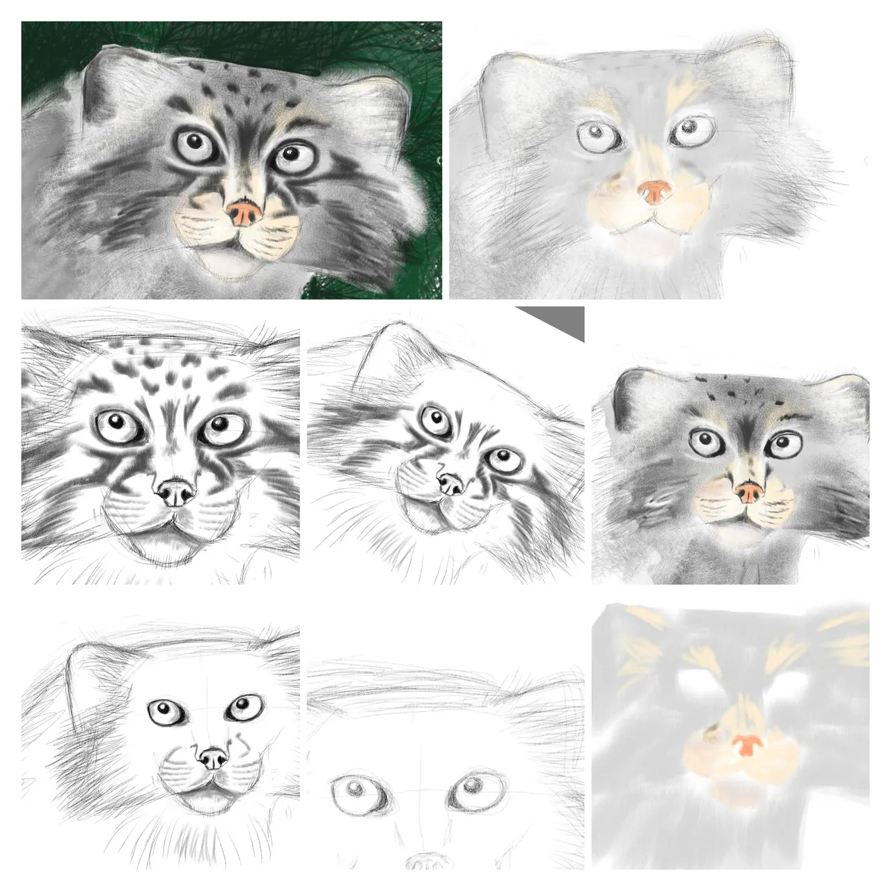 Screenshot_20200326181623975COLLAGE.jpg