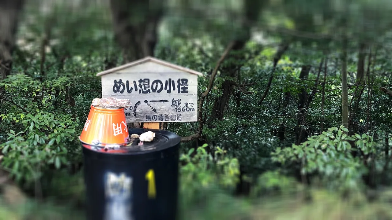 5AD7A00907414DC4B6A467C5FA50DFE8.jpeg