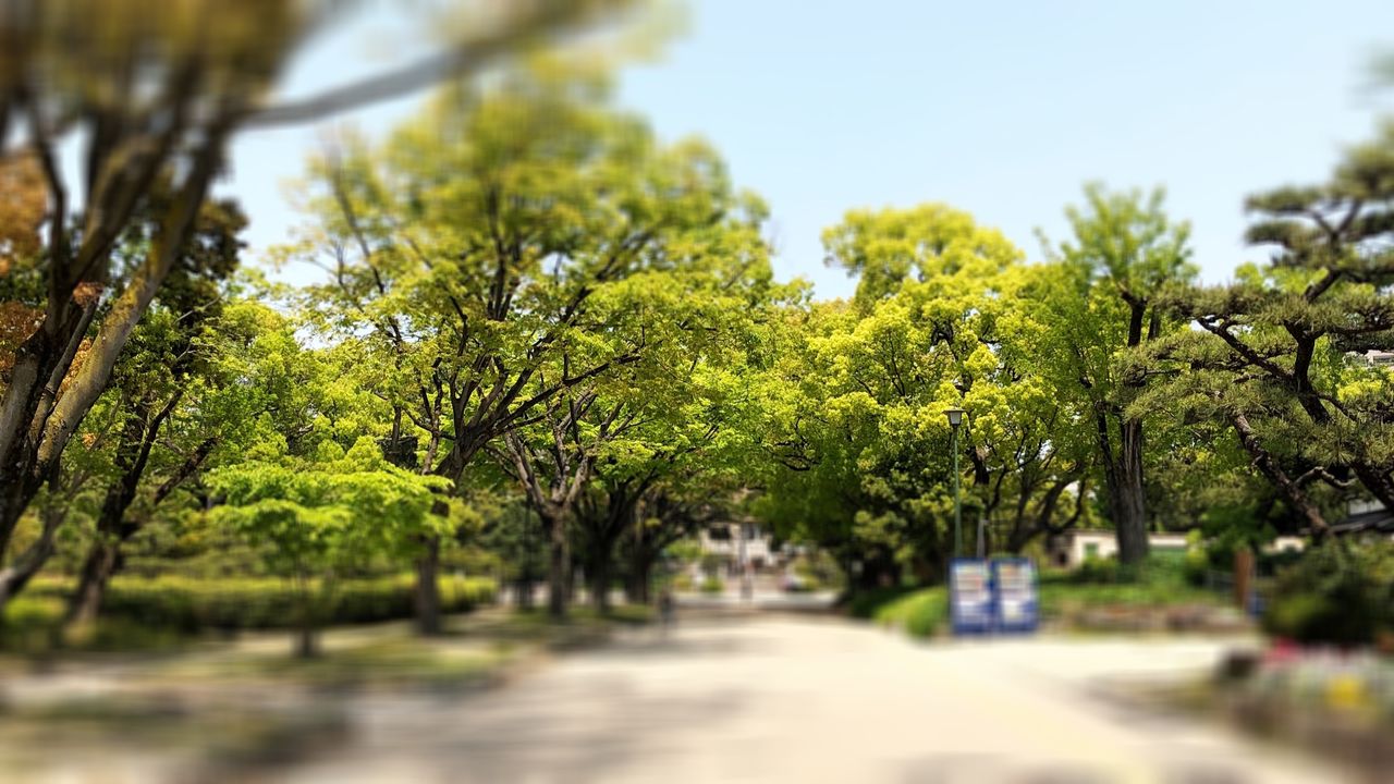 7E67FED61C634A6A96AE004D33469339.jpeg