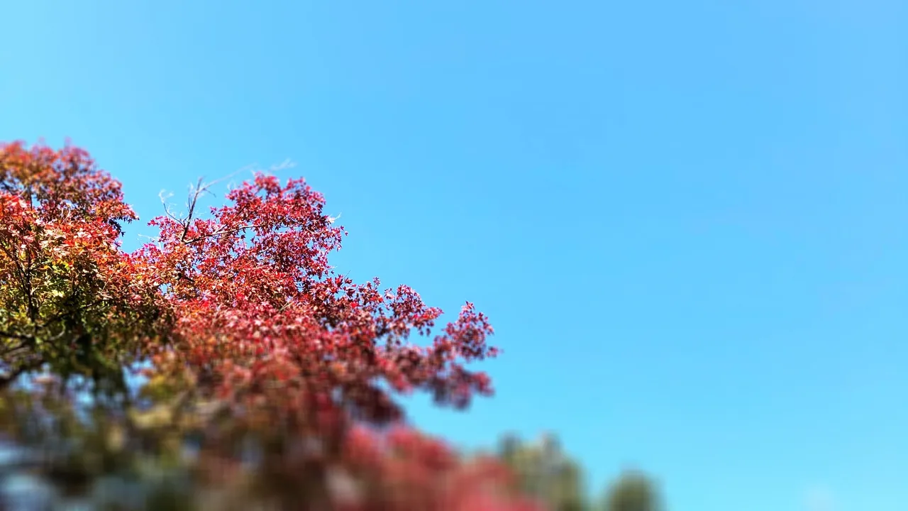 5BD49C7EAA334F97A8536D9A2F010AC3.jpeg