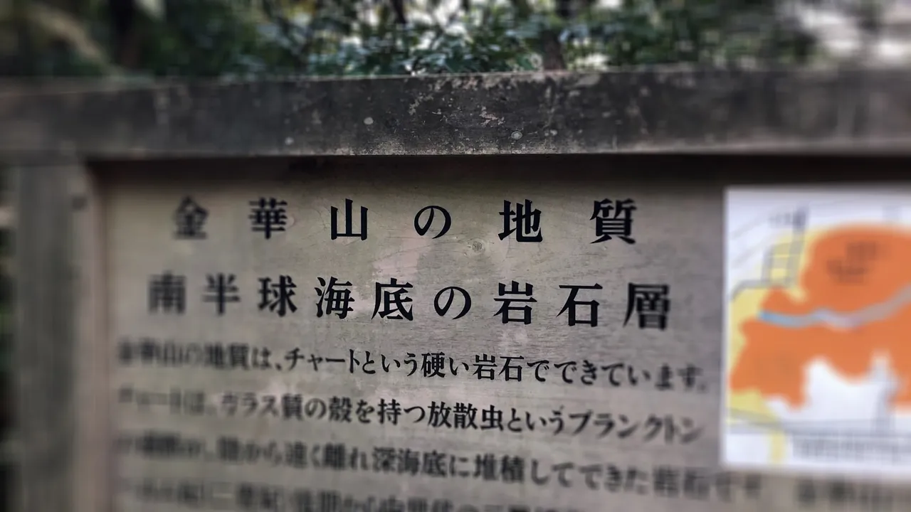 D151970630C94DD09CC7A6171A369D3A.jpeg