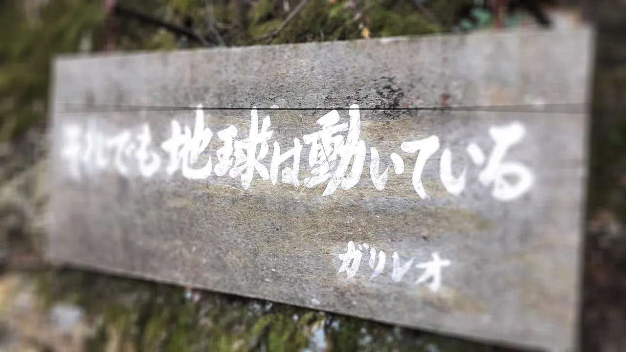 E3DB356F162B4EFE8779D194118A8C5E.jpeg
