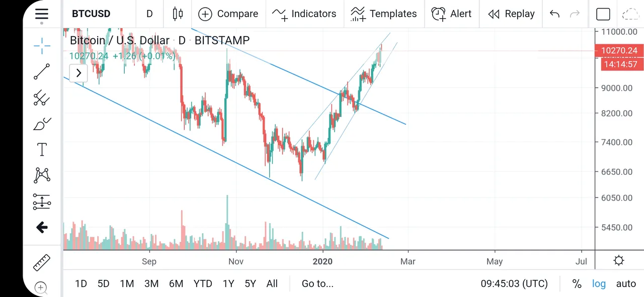 Screenshot_20200212131503_TradingView.jpg