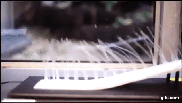 moyapowergif.gif