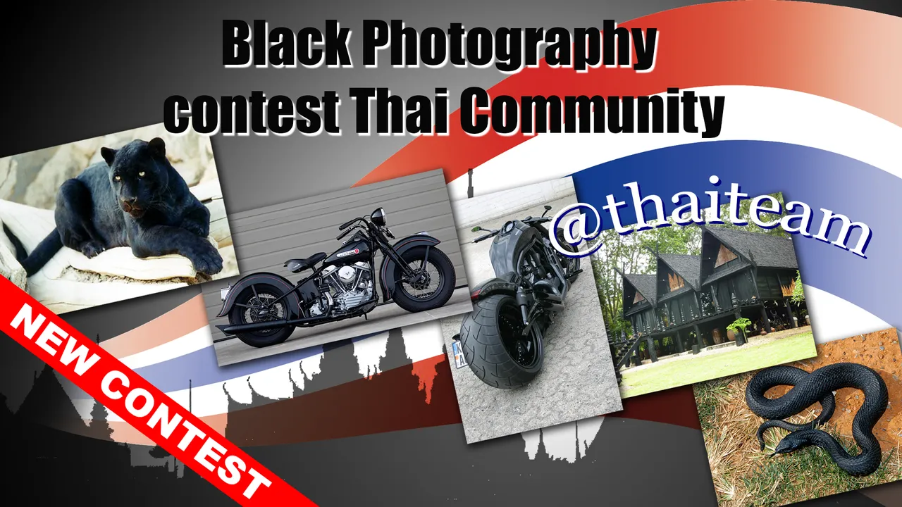 black_photography_contest.png