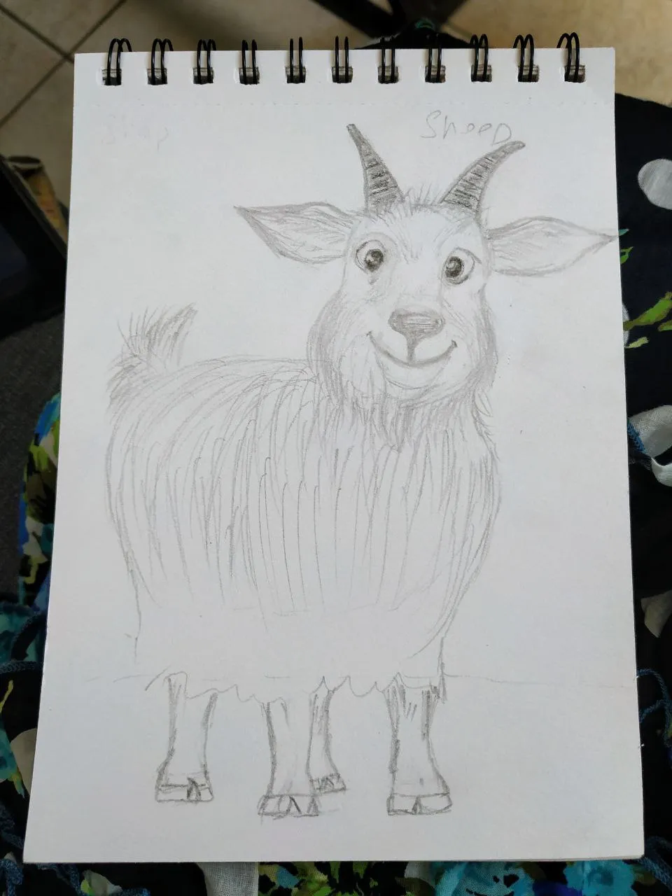 How to Draw a Goat Face - Really Easy Drawing Tutorial