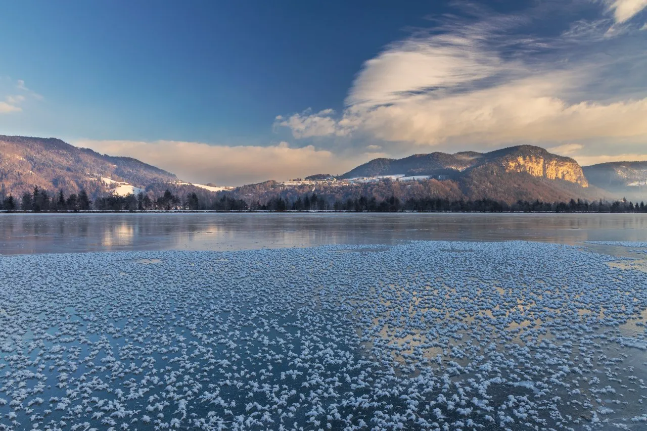 Frozen Morning at the Reservoir